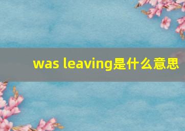 was leaving是什么意思